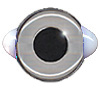 Special Offer . Clear Teddy Bear eye with white corners Special Offer . Clear Teddy Bear eye with white corners