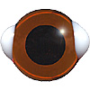 Special Offer . Medium Topaz Bear eyes with white corners Special Offer . Medium Topaz Bear eyes with white corners