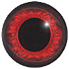 Teddy Bear Eyes Code 125:OE