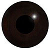 Special Offer - Dark Brown Reptile eyes. A concave/convex multicoloured reptile eye with a round pupil.