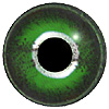Green and Silver Reptile eyes. A concave/convex multicoloured reptile eye with a round pupil.