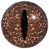 Speckled Green Crocodile Eyes. Concave/convex reptile/dinosaur eye with a highly detailed colouration.