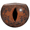 Reptile and Amphibian Eyes Code 132RS