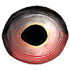 Special Offer - Oval Fish Eyes Multicoloured Special Offer - Oval Fish Eyes Multicoloured