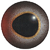 Aspheric Fish Eyes Code 160AF