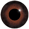 Brown/Black Glass Bird Eyes. Concave/Convex multicolour bird eyes on wire made from crystal and hand painted.