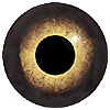 Special Offer - Yellow/Brown Glass Bird Eyes. The 185AF is aspheric in design and a gives a lifelike corneal bulge to enable the correct placement of the eyelid. The pupil is visible from both side and front giving an allround natural look.