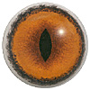 Mammal eyes code 190BS