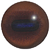 Mammal eyes code 190C