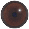 Special Offer -  Bear Eyes. A multicoloured eye with a round pupil in a concave/convex shape and an accurately painted iris.