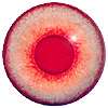 Special Offer - Albino Mammal Eyes. A multicoloured eye with a round pupil in a concave/convex shape