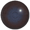 Special Offer - Common Seal Eyes. A Multicoloured eye with a round pupil in a concave.convex shape.