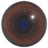 Dog eyes. A multicoloured eye with a round pupil in a concave/convex shape and an accurately painted iris.