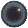 Blue Mammal Eyes. A multicoloured eye with a round pupil in a concave/convex shape and an accurately painted iris.