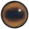 Special Offer Red Deer Eyes. A popular concave/convex eye with an oval pupil and an accurately coloured and blended iris.