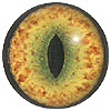 Yellow Cat Eye. A premium grade Fox/Cat eye with a slit pupil. An excelllent exhibition quality eye.