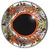 Multicolour Fish Eye. European style multicolour fish eyes on wire made by hand from crystal glass and painted and fired for a permanent finish.