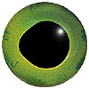 Green Fish Eye. European style multicolour fish eyes on wire made by hand from crystal glass and painted and fired for a permanent finish.