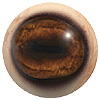 Eye code: 250IQ-Q01