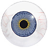 Multicoloured Mannequin or Human eyes with veins. Hand painted mannequin eyes with a multicolour iris. Multicoloured Mannequin or Human eyes with veins. Hand painted mannequin eyes with a multicolour iris.
