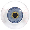 Multicoloured mannequin or Human eyes with veins. Hand painted mannequin eyes with a multicolour iris. Multicoloured mannequin or Human eyes with veins. Hand painted mannequin eyes with a multicolour iris.