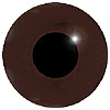 Special Offer - Dark Brown Bird Eyes with no wire