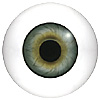 Human or Doll eyes. A great mannequin eye that can double as a human eye if required. The eye is quite fragile but can be back filled for stability. Human or Doll eyes. A great mannequin eye that can double as a human eye if required. The eye is quite fragile but can be back filled for stability.