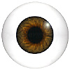 Human or Doll eyes. A great mannequin eye that can double as a human eye if required. The eye is quite fragile but can be back filled for stability. Human or Doll eyes. A great mannequin eye that can double as a human eye if required. The eye is quite fragile but can be back filled for stability.