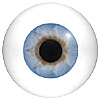 Human or Doll eyes. A great mannequin eye that can double as a human eye if required. The eye is quite fragile but can be back filled for stability. Human or Doll eyes. A great mannequin eye that can double as a human eye if required. The eye is quite fragile but can be back filled for stability.
