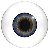 Human or Doll eyes. A great mannequin eye that can double as a human eye if required. The eye is quite fragile but can be back filled for stability. Human or Doll eyes. A great mannequin eye that can double as a human eye if required. The eye is quite fragile but can be back filled for stability.
