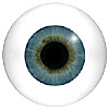 Human or Doll eyes. A great mannequin eye that can double as a human eye if required. The eye is quite fragile but can be back filled for stability.