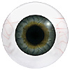 Mannequin Eyes Code 700A