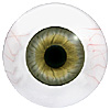 Special Offer - Human or Doll eyes. A great mannequin eye that can double as a human eye if required. The eye is quite fragile but can be back filled for stability.