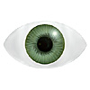 Mannequin Eyes Code 800V
