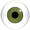 Mannequin Eyes Code 800MP