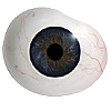 Mouth blown Mannequin Human or Doll eyes with prosthetic shells with veins. Ideal for Film and TV use. Mouth blown Mannequin Human or Doll eyes with prosthetic shells with veins. Ideal for Film and TV use.