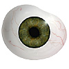 Mouth blown Mannequin Human or Doll eyes with prosthetic shells with veins. Ideal for Film and TV use. Mouth blown Mannequin Human or Doll eyes with prosthetic shells with veins. Ideal for Film and TV use.