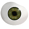 Mouth blown Mannequin Human or Doll eyes with prosthetic shells without veins. Ideal for Film and TV use. Mouth blown Mannequin Human or Doll eyes with prosthetic shells without veins. Ideal for Film and TV use.