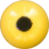LAST CHANCE TO BUY - LIMITED STOCK Yellow Acrylic eyes. This revolution in bird eye technology was created by award winning taxidermist Erling Morch. Created in crystal clear acrylic  this natural looking eye has an accurately blended iris and a beautifully feathered pupil set at the correct depth to give the most natural all round look.