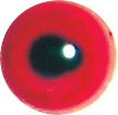 Acrylic Oystercatcher eyes. This revolution in bird eye technology was created by award winning taxidermist Erling Morch. Created in crystal clear acrylic this natural looking eye has an accurately blended iris and a beautifully feathered pupil set at the correct depth to give the most natural all round look. Acrylic Oystercatcher eyes. This revolution in bird eye technology was created by award winning taxidermist Erling Morch. Created in crystal clear acrylic this natural looking eye has an accurately blended iris and a beautifully feathered pupil set at the correct depth to give the most natural all round look.