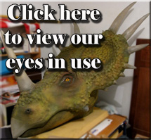 View our gallery of glass eyes