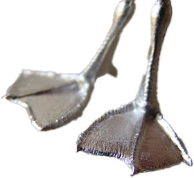 Bird feet