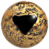 Speckled Gold Lizard Eye with triangular pupil. Eyes designed for amphibians.