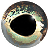 Aspheric Fish Eyes Code 160AF