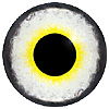 Yellow/Light Blue/Dark Blue Glass Bird Eyes. Concave/Convex multicolour bird eyes made from crystal and hand painted. Yellow/Light Blue/Dark Blue Glass Bird Eyes. Concave/Convex multicolour bird eyes made from crystal and hand painted.