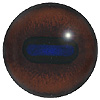 Red Deer eyes. A popular concave/convex eye with an oval pupil and an accurately coloured and blended iris. Red Deer eyes. A popular concave/convex eye with an oval pupil and an accurately coloured and blended iris.