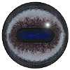 Ibex Eye. A popular concave/convex eye with an oval pupil and an accurately coloured and blended iris. Ibex Eye. A popular concave/convex eye with an oval pupil and an accurately coloured and blended iris.
