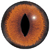 Dark Brown Fox Eye. A premium grade Fox/Cat eye with a slit pupil. An excelllent exhibition quality eye.