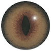 Arctic Fox Eye. A premium grade Fox/Cat eye with a slit pupil. An excelllent exhibition quality eye.