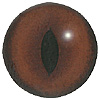 Cat Eye. A premium grade Fox/Cat eye with a slit pupil. An excelllent exhibition quality eye. Cat Eye. A premium grade Fox/Cat eye with a slit pupil. An excelllent exhibition quality eye.